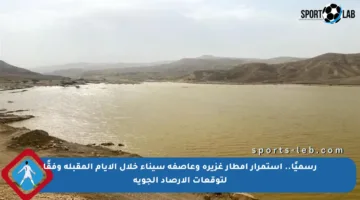 رسميًا.. استمرار أمطار غزيرة وعاصفة سيناء خلال الأيام المقبلة وفقًا لتوقعات الأرصاد الجوية